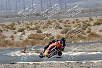 media/Apr-10-2022-SoCal Trackdays (Sun) [[f104b12566]]/Turn 5 Tree of Life (1040am)/